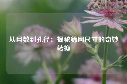 从目数到孔径：揭秘筛网尺寸的奇妙转换