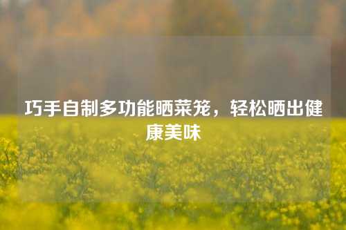 巧手自制多功能晒菜笼,轻松晒出健康美味