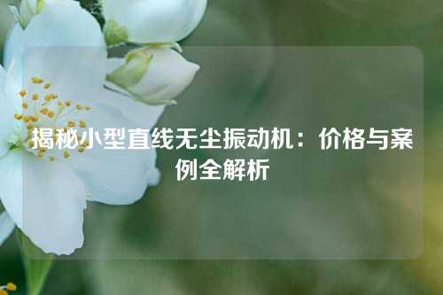 揭秘小型直线无尘振动机：价格与案例全解析