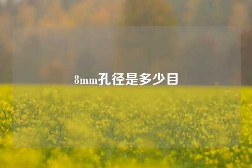 8mm孔径是多少目