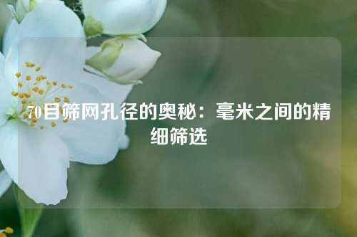 70目筛网孔径的奥秘：毫米之间的精细筛选
