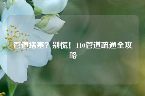 管道堵塞？别慌！110管道疏通全攻略