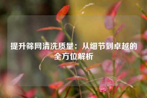 提升筛网清洗质量:从细节到卓越的全方位解析