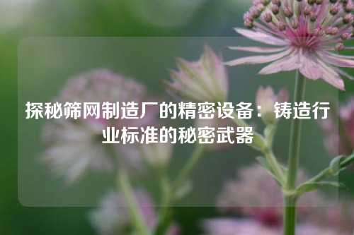 探秘筛网制造厂的精密设备：铸造行业标准的秘密武器