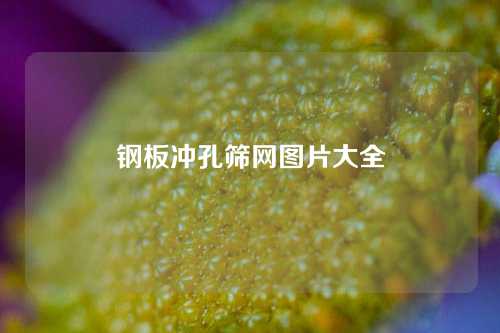 钢板冲孔筛网图片大全