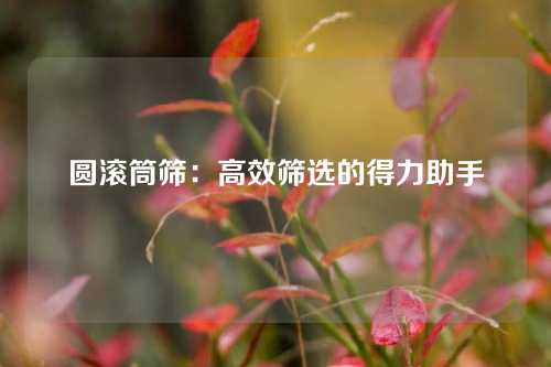 圆滚筒筛：高效筛选的得力助手