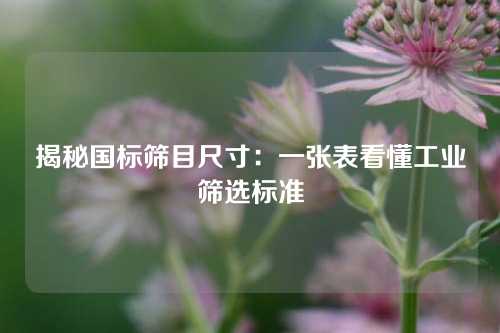 揭秘国标筛目尺寸：一张表看懂工业筛选标准