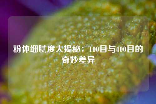 粉体细腻度大揭秘：100目与400目的奇妙差异