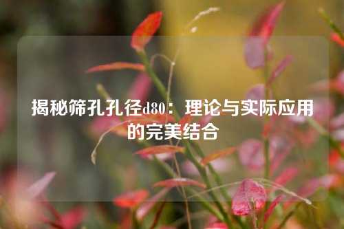 揭秘筛孔孔径d80：理论与实际应用的完美结合