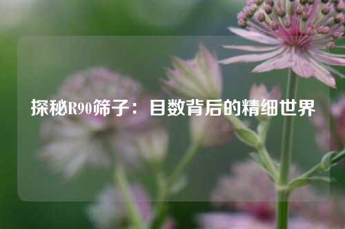 探秘R90筛子：目数背后的精细世界