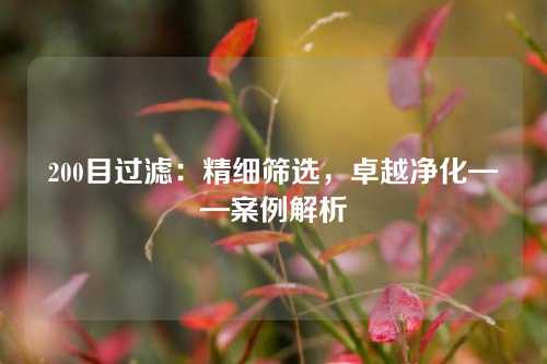 200目过滤：精细筛选，卓越净化——案例解析