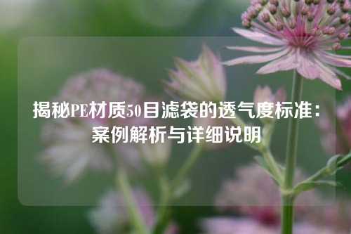 揭秘PE材质50目滤袋的透气度标准：案例解析与详细说明