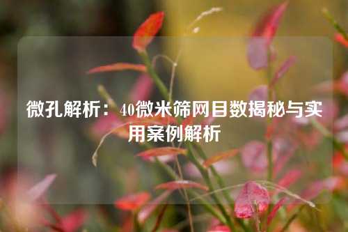 微孔解析：40微米筛网目数揭秘与实用案例解析