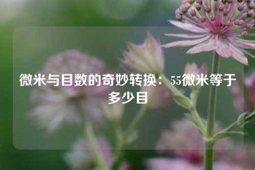 微米与目数的奇妙转换：55微米等于多少目