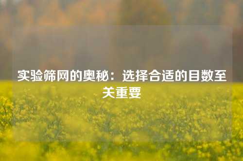实验筛网的奥秘：选择合适的目数至关重要
