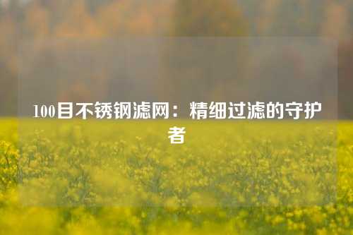 100目不锈钢滤网：精细过滤的守护者
