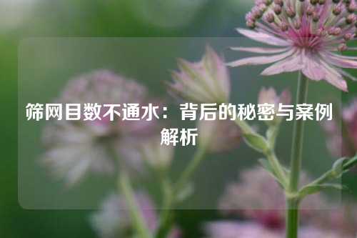 筛网目数不通水：背后的秘密与案例解析