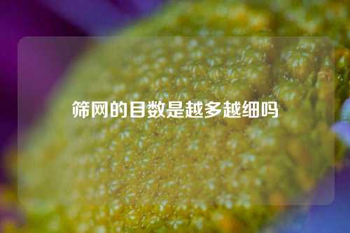 筛网的目数是越多越细吗