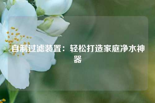 自制过滤装置：轻松打造家庭净水神器