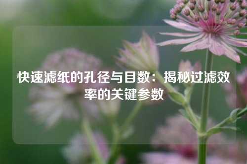快速滤纸的孔径与目数：揭秘过滤效率的关键参数