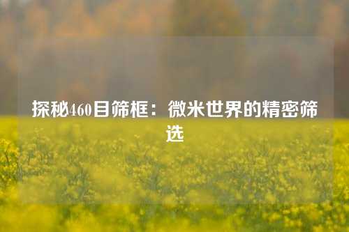 探秘460目筛框：微米世界的精密筛选