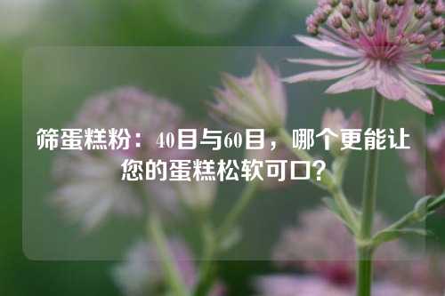 筛蛋糕粉：40目与60目，哪个更能让您的蛋糕松软可口？