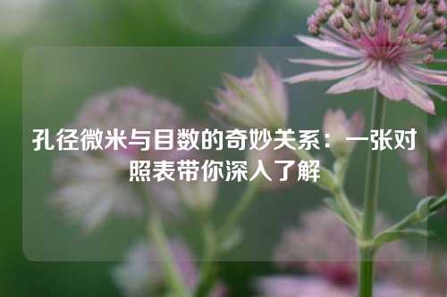 孔径微米与目数的奇妙关系：一张对照表带你深入了解