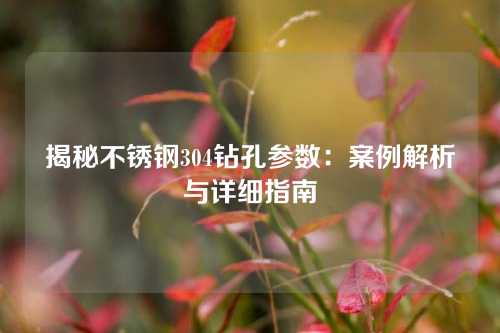 揭秘不锈钢304钻孔参数:案例解析与详细指南