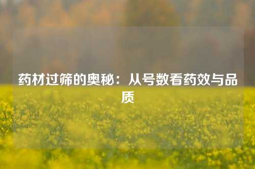 药材过筛的奥秘：从号数看药效与品质