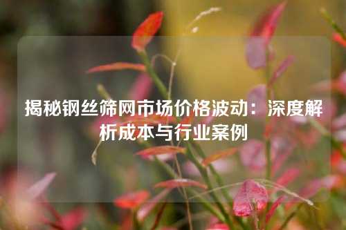 揭秘钢丝筛网市场价格波动：深度解析成本与行业案例