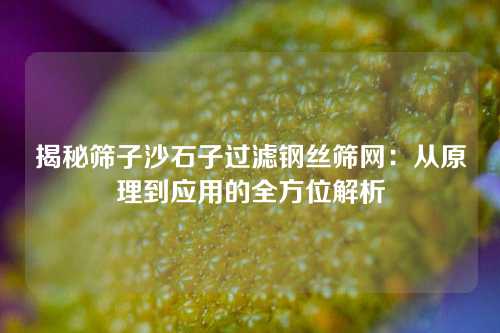 揭秘筛子沙石子过滤钢丝筛网：从原理到应用的全方位解析