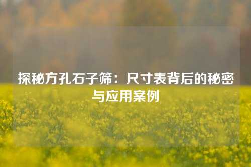 探秘方孔石子筛：尺寸表背后的秘密与应用案例