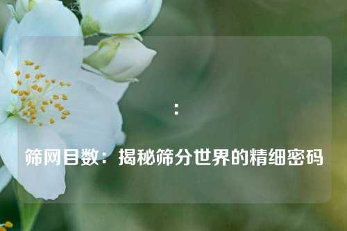 ：

筛网目数：揭秘筛分世界的精细密码