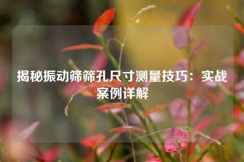揭秘振动筛筛孔尺寸测量技巧：实战案例详解