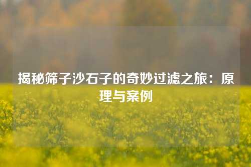 揭秘筛子沙石子的奇妙过滤之旅：原理与案例