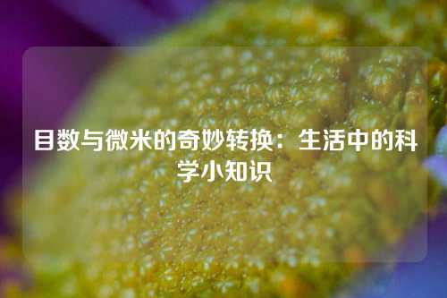 目数与微米的奇妙转换：生活中的科学小知识