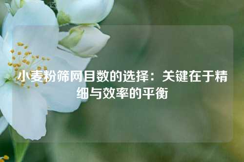 小麦粉筛网目数的选择：关键在于精细与效率的平衡