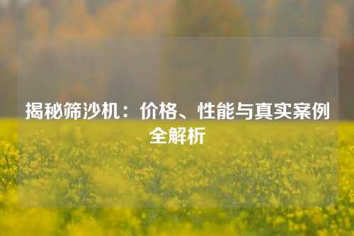 揭秘筛沙机：价格、性能与真实案例全解析