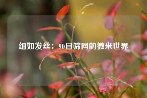细如发丝：90目筛网的微米世界