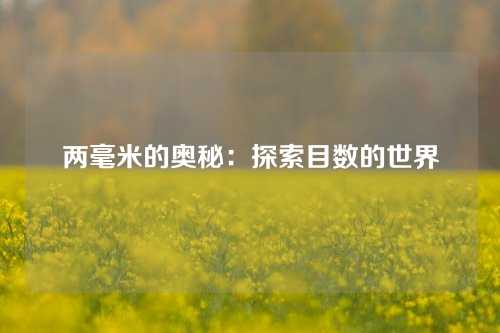 两毫米的奥秘：探索目数的世界