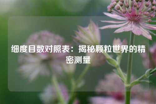 细度目数对照表：揭秘颗粒世界的精密测量