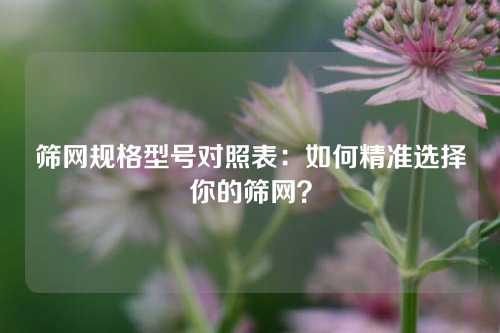 筛网规格型号对照表:如何精准选择你的筛网?