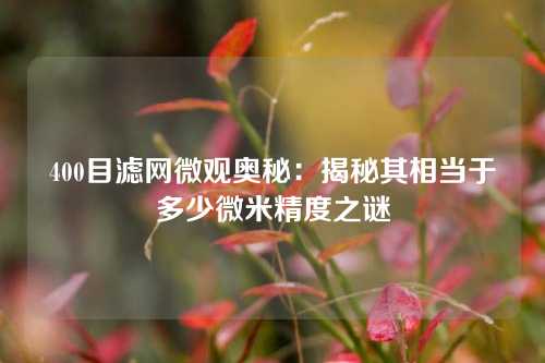 400目滤网微观奥秘：揭秘其相当于多少微米精度之谜
