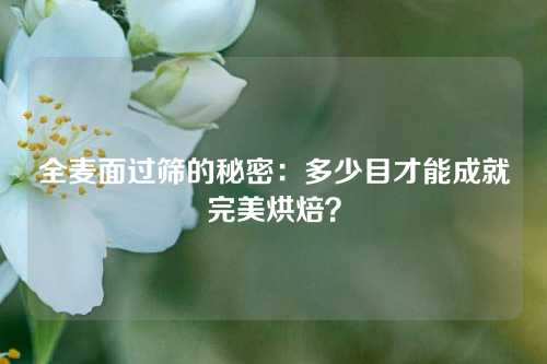 全麦面过筛的秘密：多少目才能成就完美烘焙？