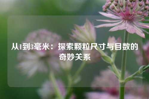 从1到3毫米：探索颗粒尺寸与目数的奇妙关系