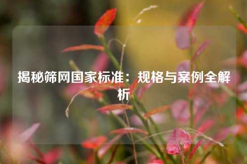 揭秘筛网国家标准：规格与案例全解析