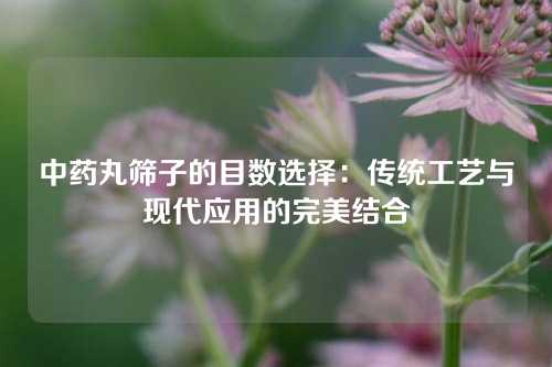 中药丸筛子的目数选择：传统工艺与现代应用的完美结合