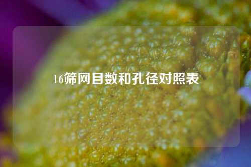 16筛网目数和孔径对照表