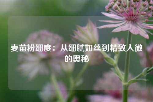 麦苗粉细度：从细腻如丝到精致入微的奥秘