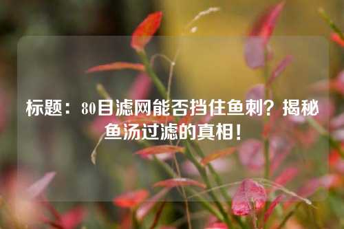 标题：80目滤网能否挡住鱼刺？揭秘鱼汤过滤的真相！